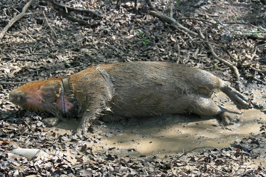 [2009_03_22_09_sCaplinMud.jpg]