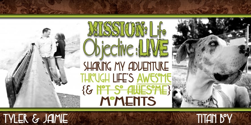 Mission: Life; Objective: Live