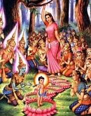 Where was siddhartha gautama born Clearance