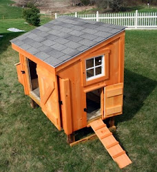 chicken mini coops coop barns able horse latch moving door single open much barn