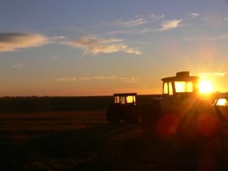 [tractor+sunrise.JPG]