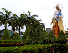 Entrada a Higuerote, Virgen del Carmen estrella del Mar, guía de los marineros
