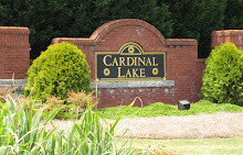 Cardinal Lake In Duluth Georgia