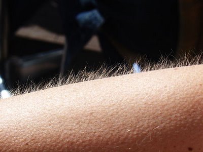goosebumps.jpg