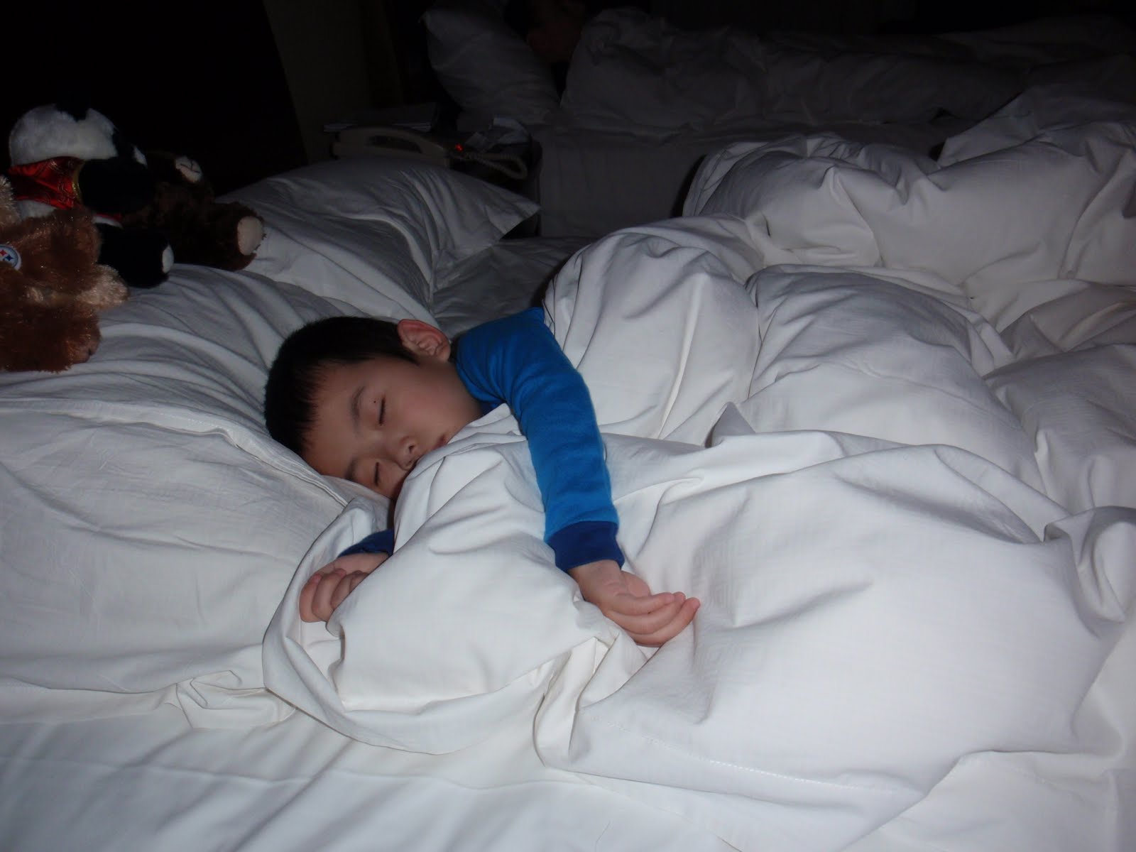 maryland-mayhem-to-sleep-perchance-to-dream