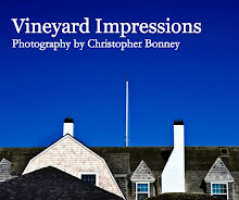 Vineyard Impressions