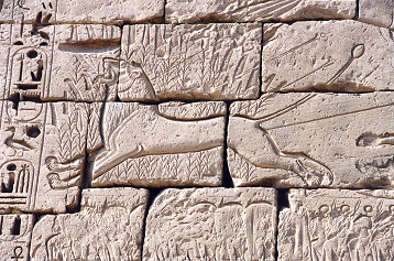 [Medinet+Habu11.gif]
