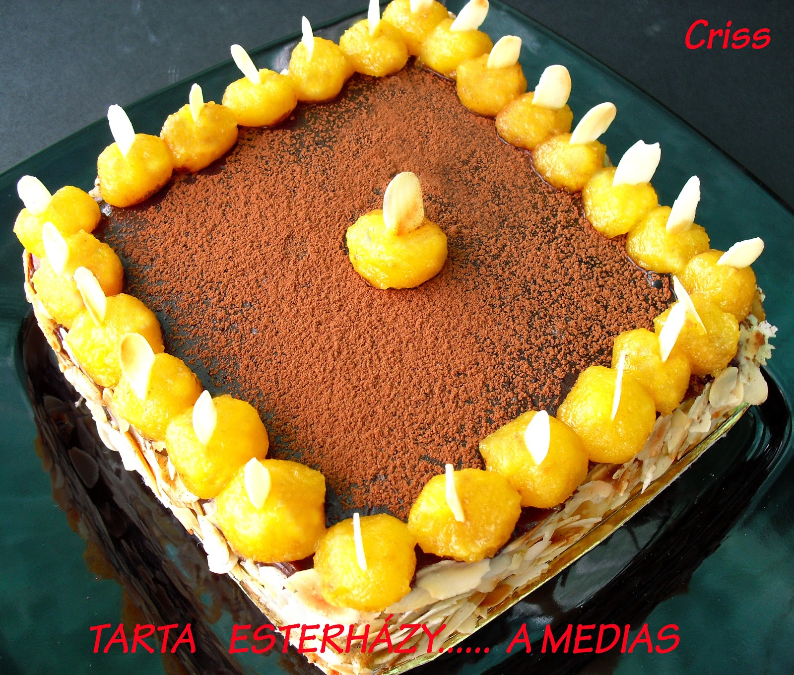 ALIMENTA TARTA ESTERHÁZY....A MEDIAS