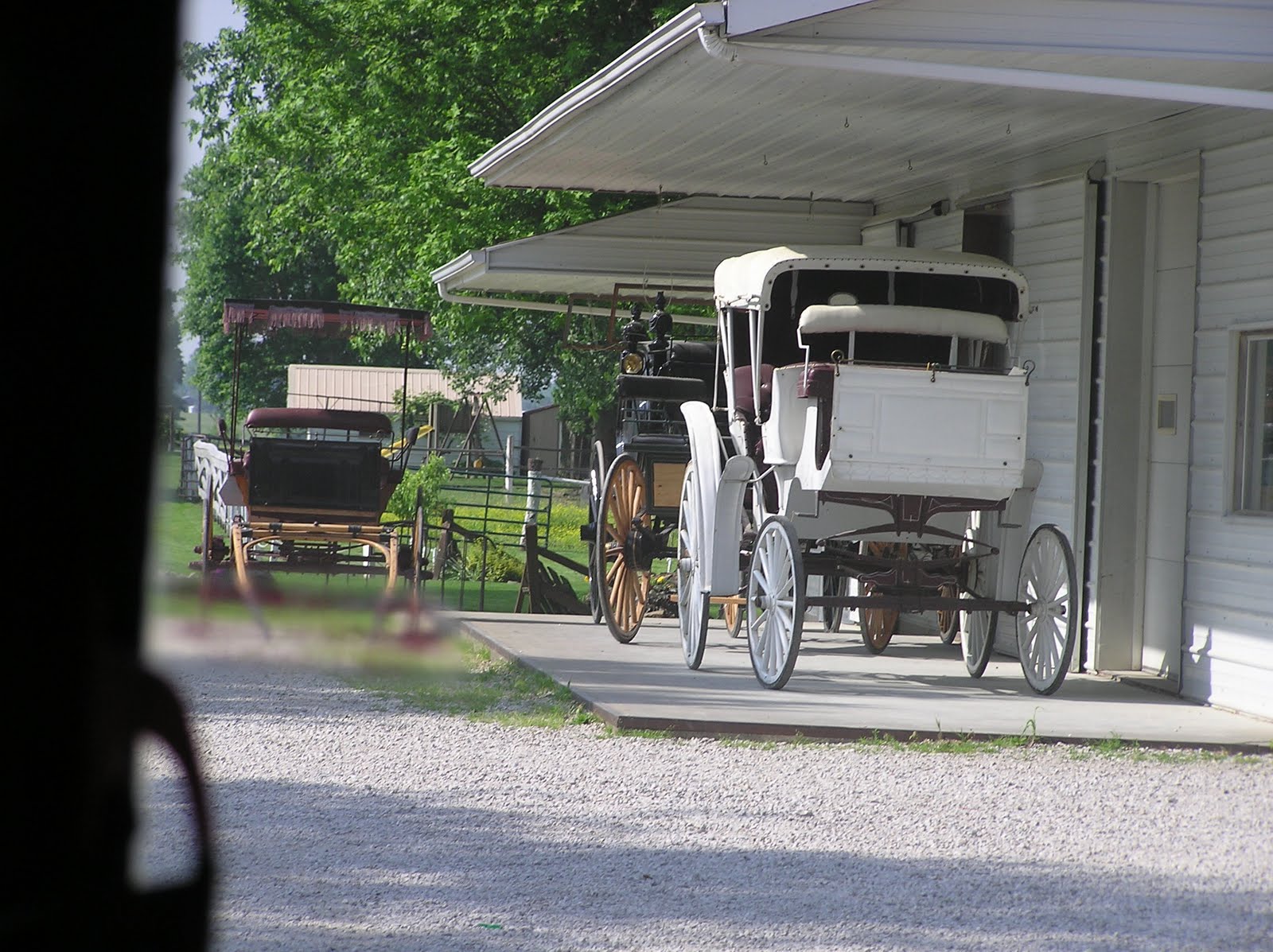 slutigram: Springtime in Southern Indiana
