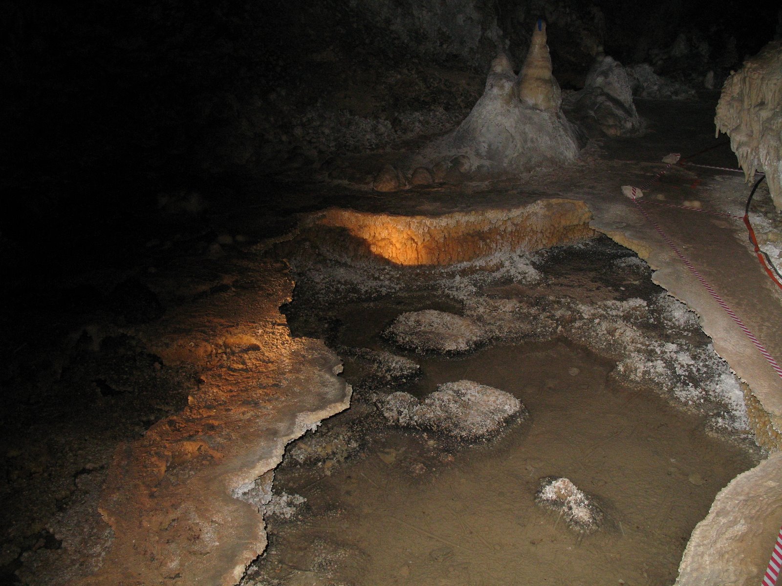 [IMG_0283.JPG]