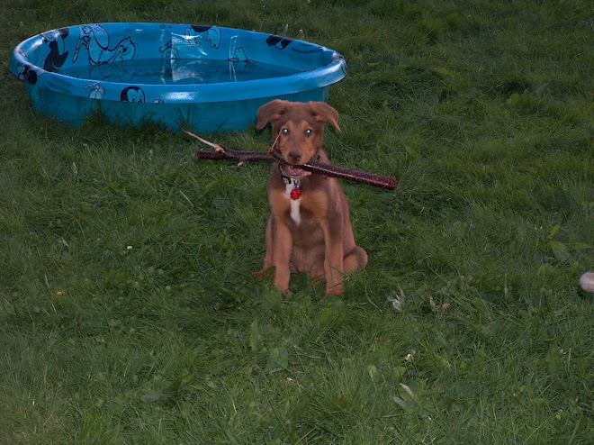 Ollie at 3 months