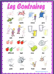contraires dictionnaire visuel