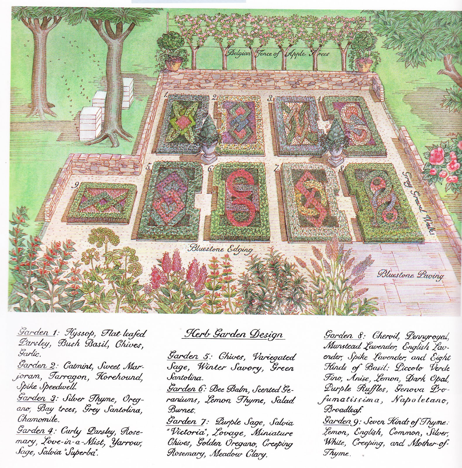 Auntie K's Garden Knot Gardens