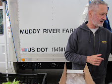 Friday Greenmarket