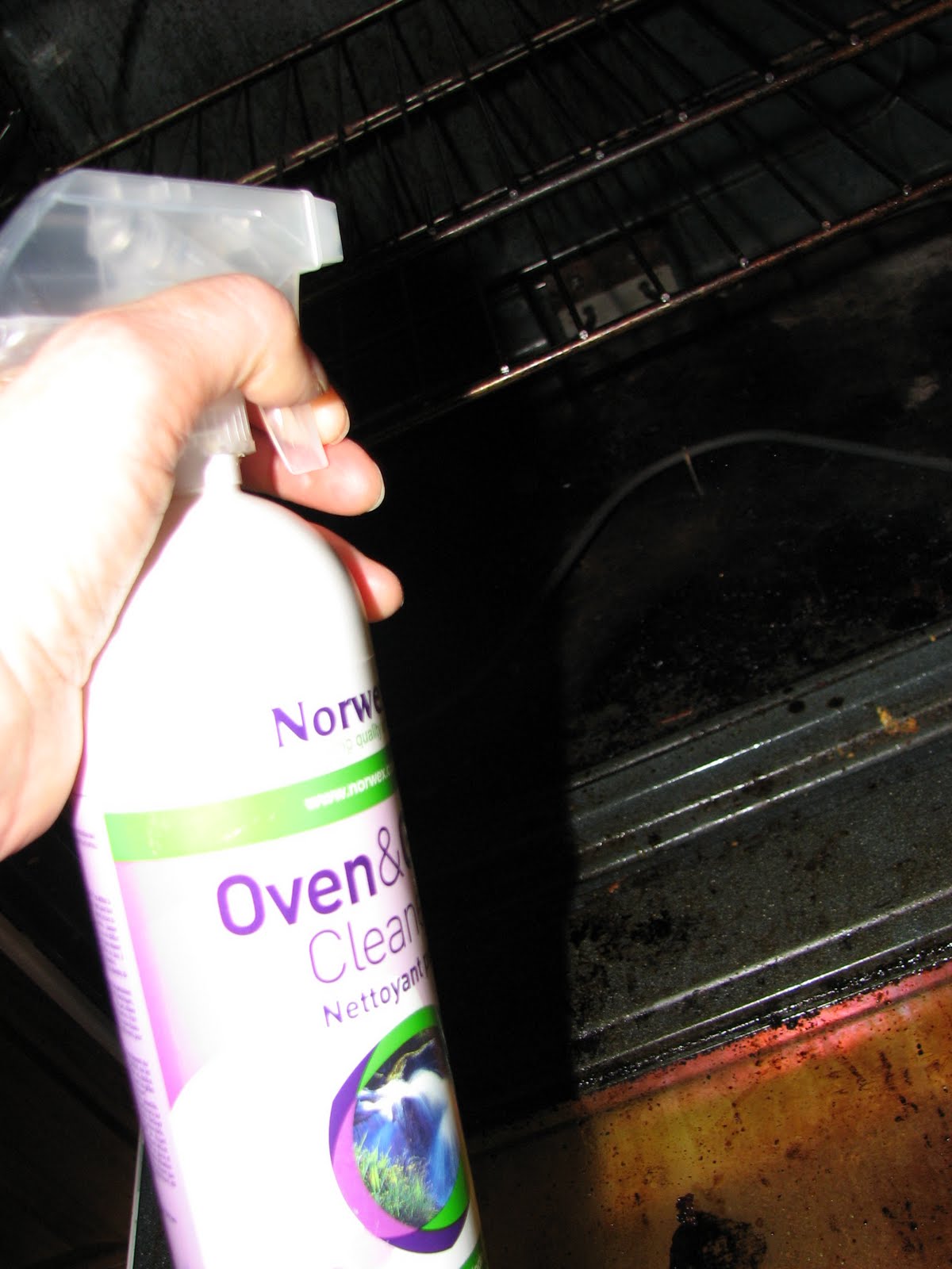 Pam's Cleaning Blog Cleaning a very dirty oven!