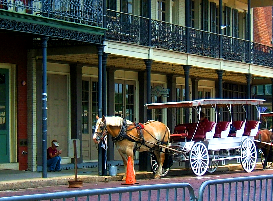 Heart #39 s Gold: Things to do in Natchitoches Louisiana Heart #39 s Gold: Things to do in Natchitoches Louisiana