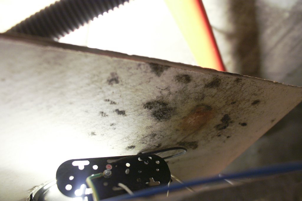 [廚房天花板發霉.jpg]