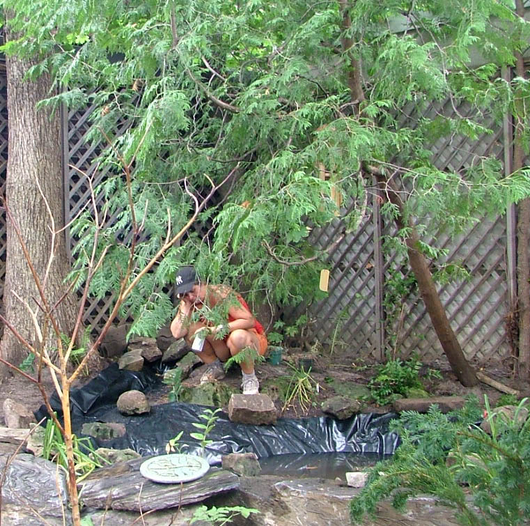 Building a backyard stream and pond