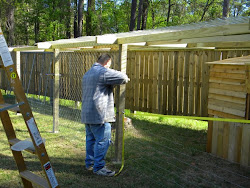 you know what you oughta do : chicken coop and run