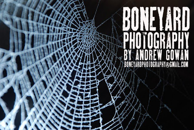 boneyard photography