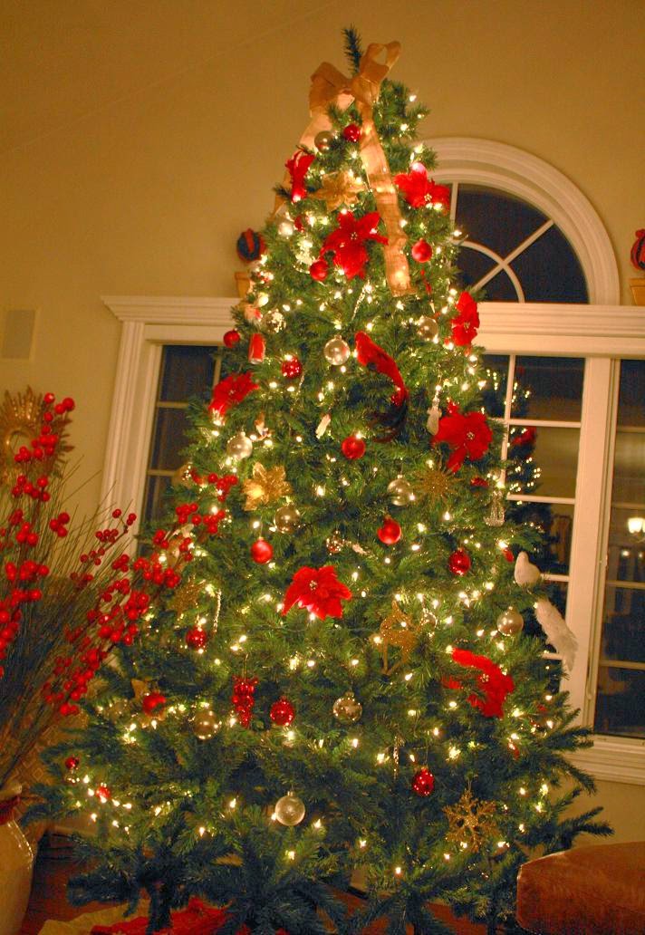 Domestically Yours: Christmas Home Tour 2010