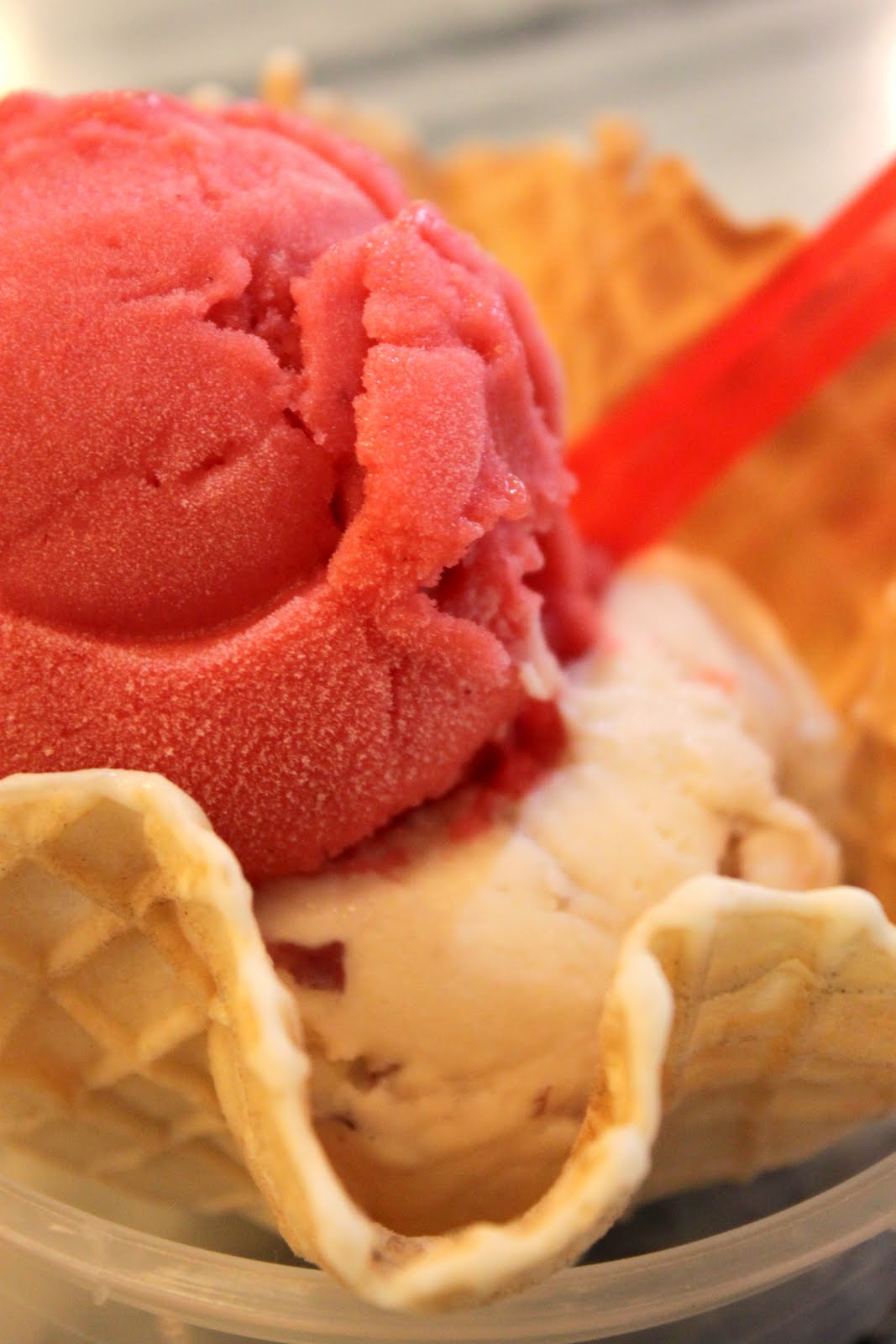 *the simplest aphrodisiac The Ice Cream Gallery