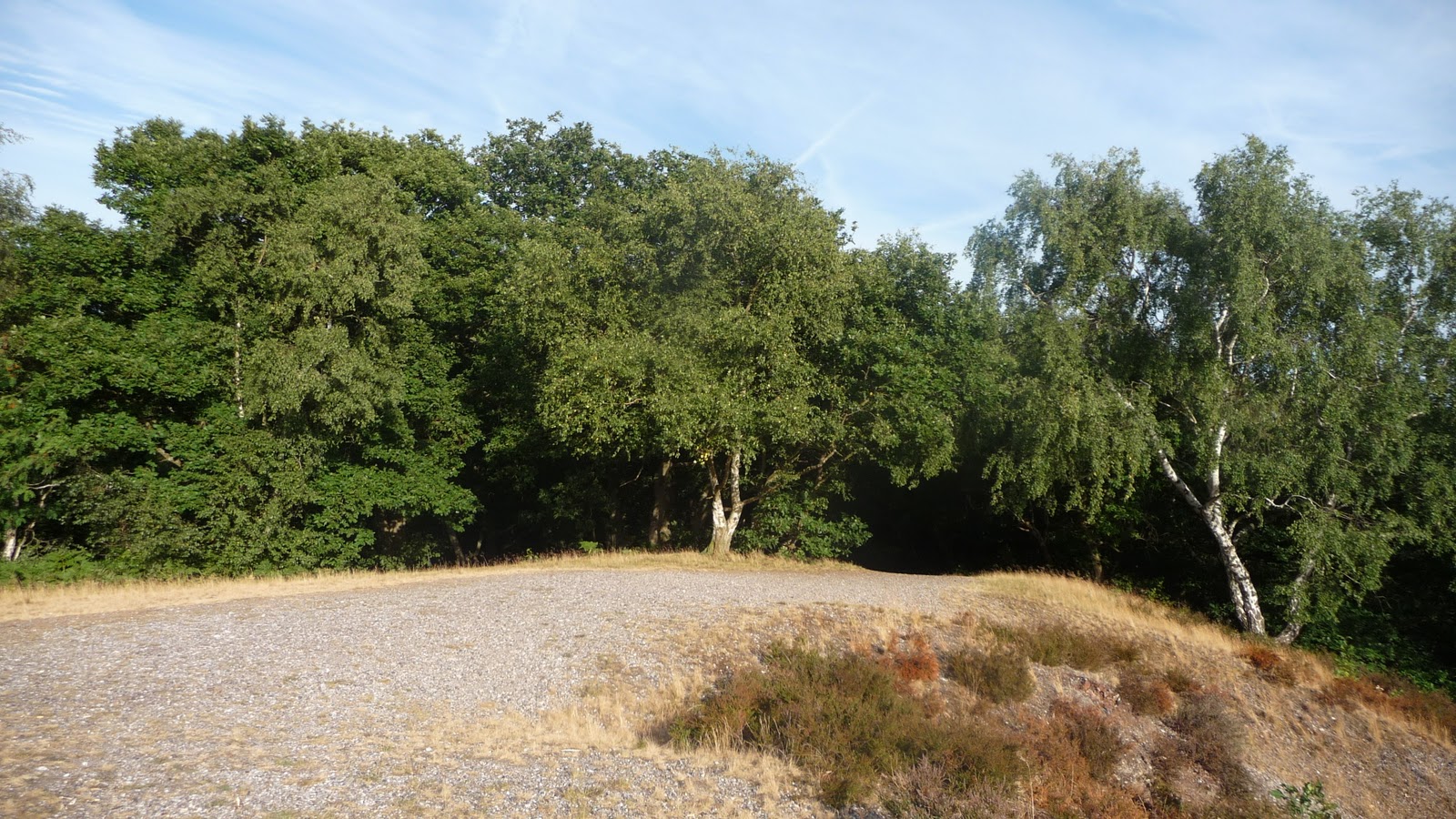 No Visible Lycra The Woodland Trek