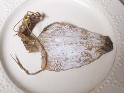 Cannundrums: Dried Squid - Fried and Grilled
