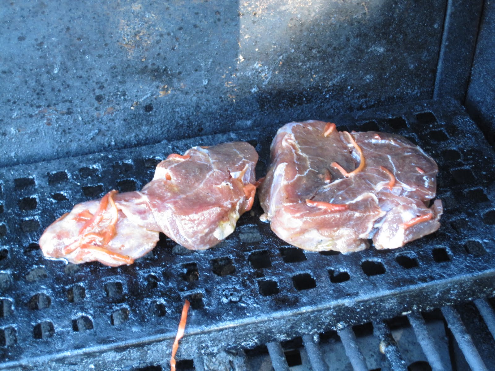 Cannundrums Grilled Snapping Turtle