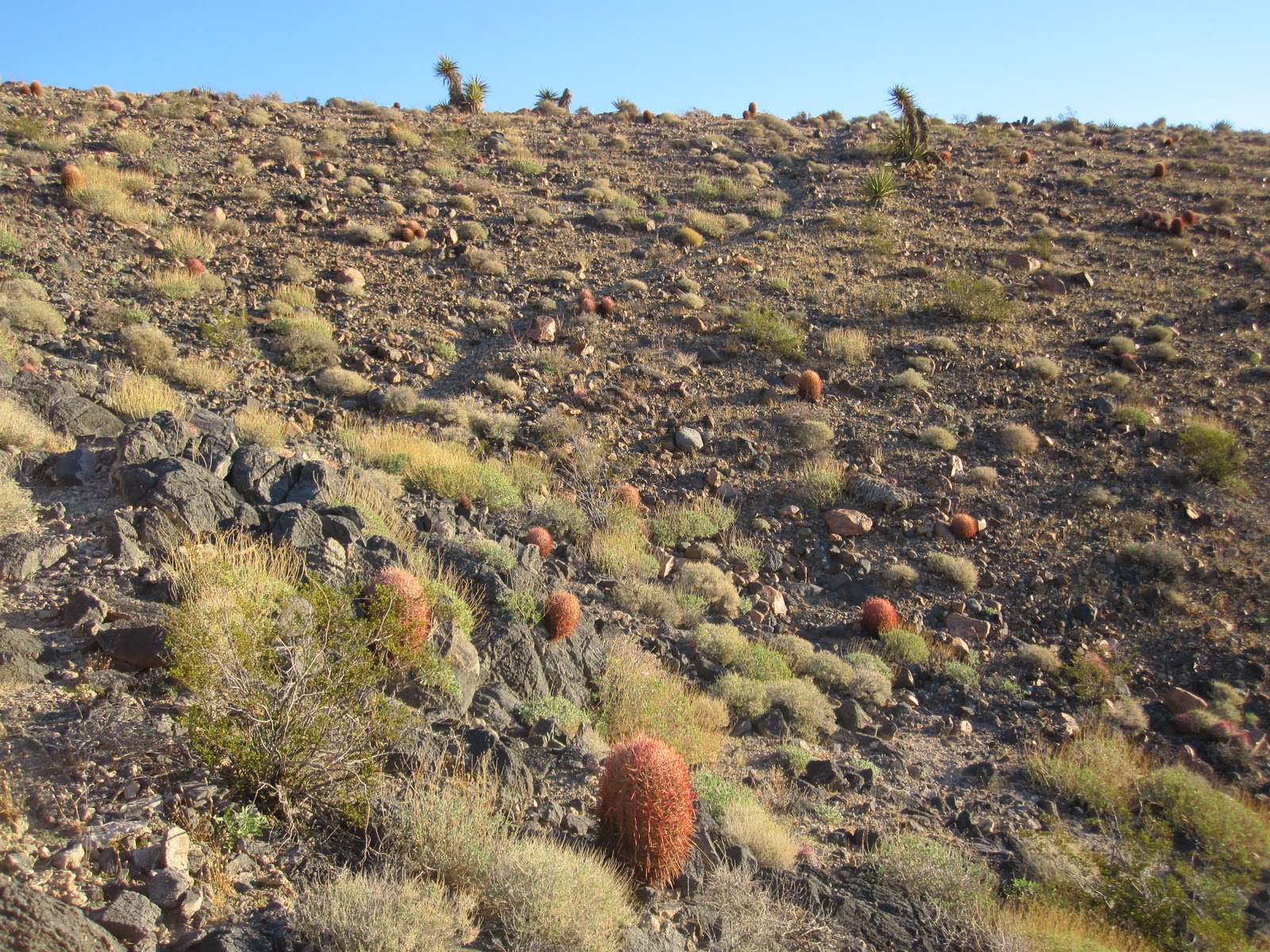 Cannundrums: Stump Spring to Resting Springs: Retracing an 1849 Journey
