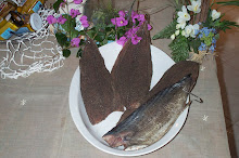 Prosciuttini di palamita