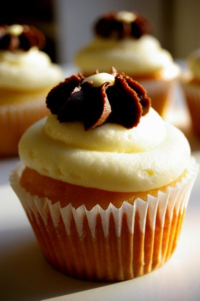 [Vanilla+Cupcakes.jpg]