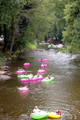 Alpine Helen Georgia