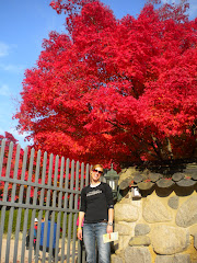 Most amazing red leaves I have ever seen!