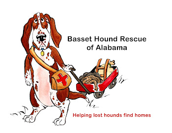 We are Basset Hound Rescue of Alabama