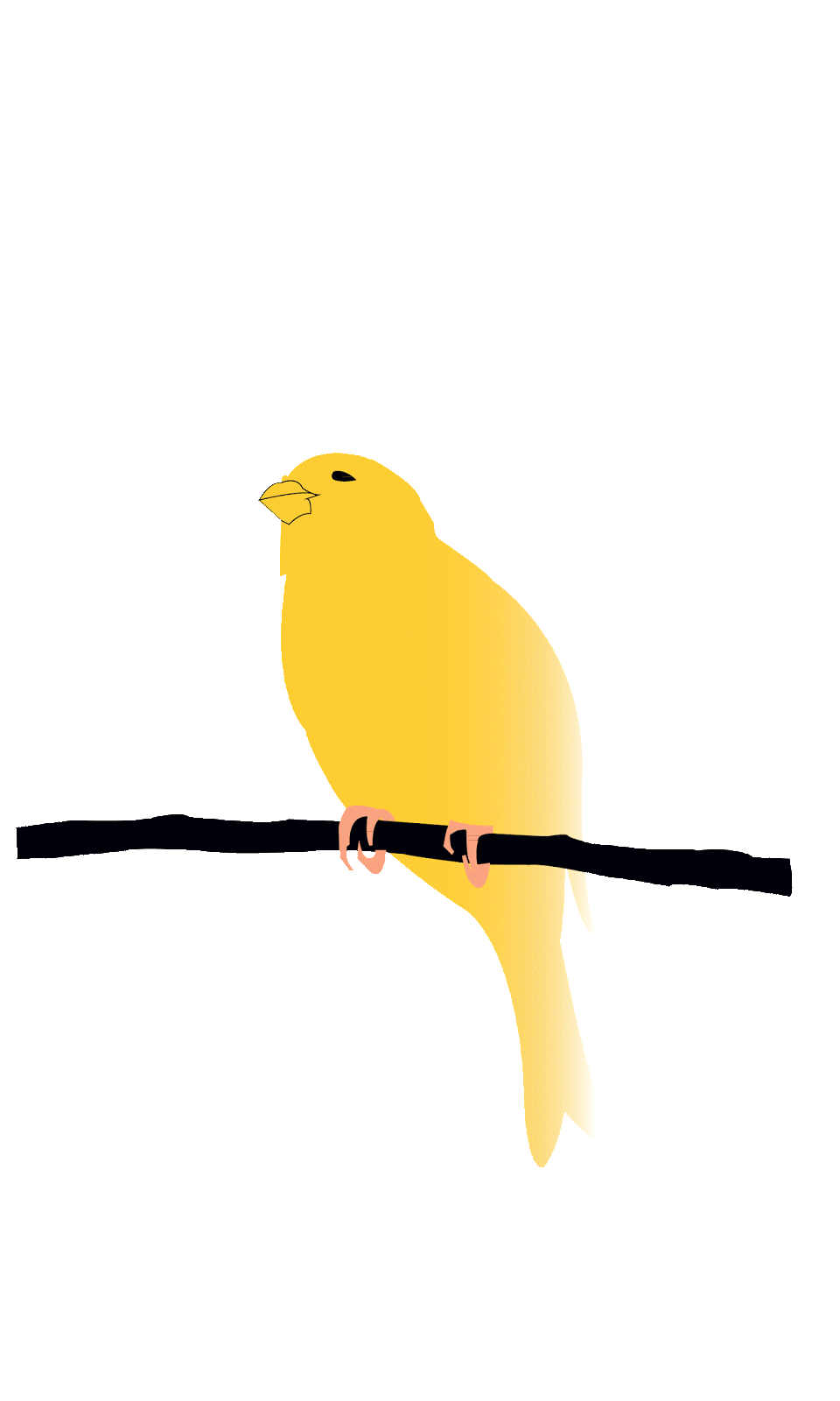 Canary Station: My birdie vector!! =)
