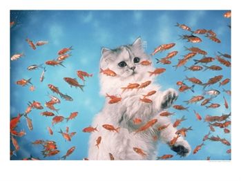 [320690~Cat-Observing-Goldfish-in-an-Aquarium-Posters.jpg]