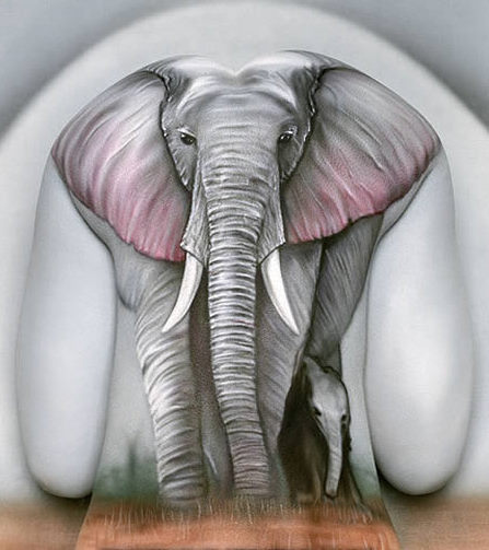 [a96944_a586_10-elephant.jpg]