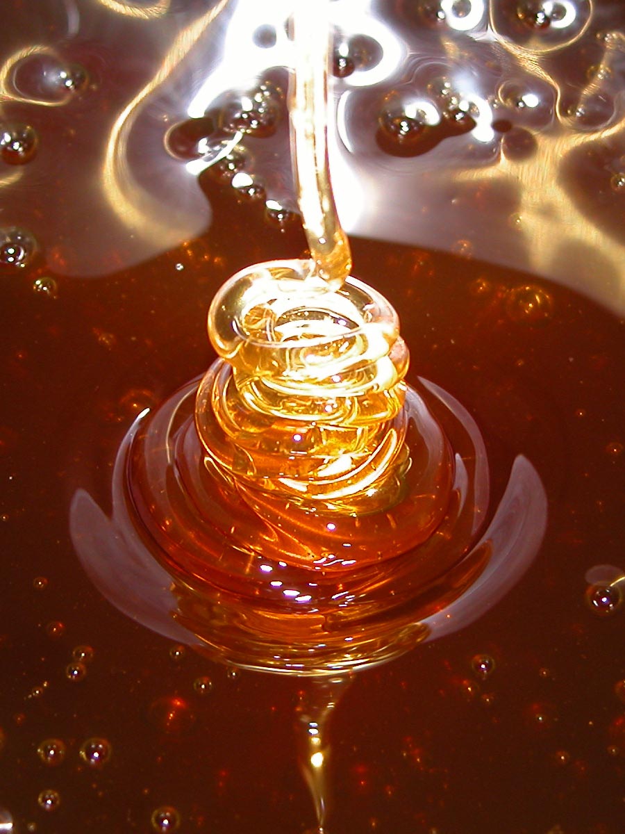 [DSCN3216-honey-spiral_crop_b.jpg]
