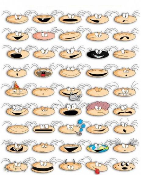 [1263500782_360991.jpg]