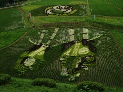 [Rice_Field_Art_16.jpg]