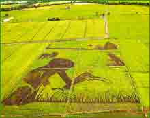 [08-09-09_1289175_181.jpg]