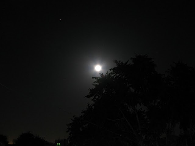 [IMG_5429.JPG]