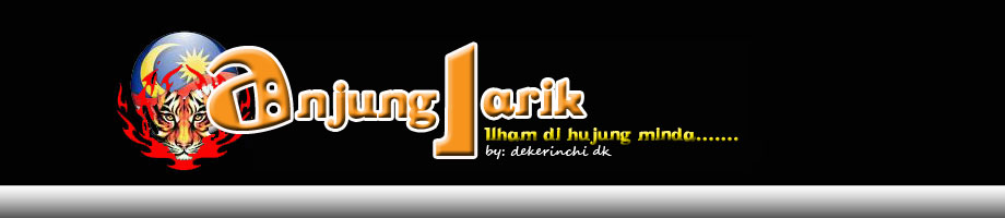 [anjunglariknewbaneer2009x+copy+copy.jpg]