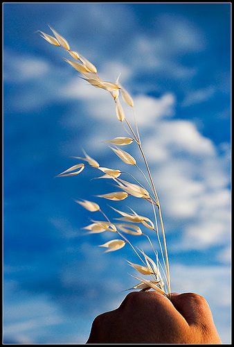 [510158303_0d477278c2[1].jpg_v=0]