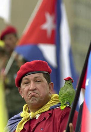[Ven_H-chavez-parrot3.jpg]