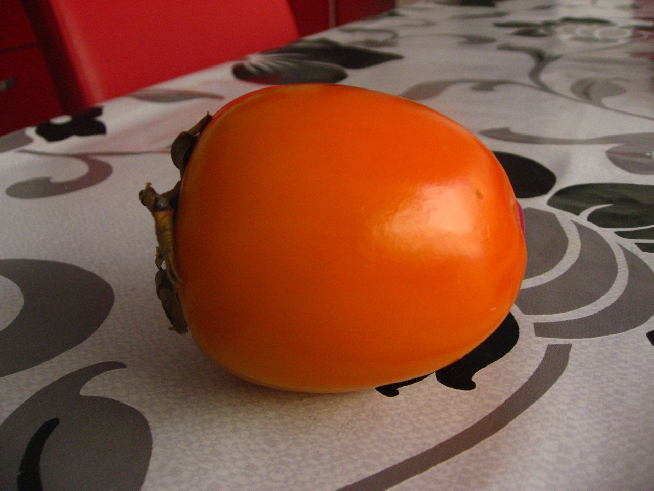 [persimmon2.jpg]