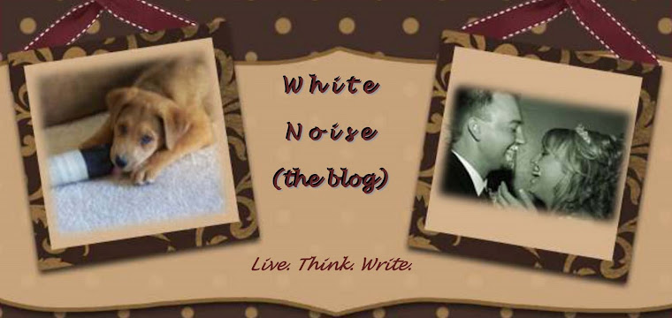 W h i t e     N o i s e     ( ( ( the blog ) ) )     Live. Think. Write.