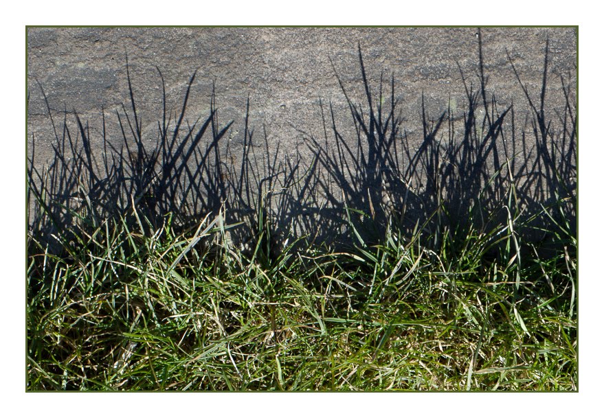 [066+grass.jpg]