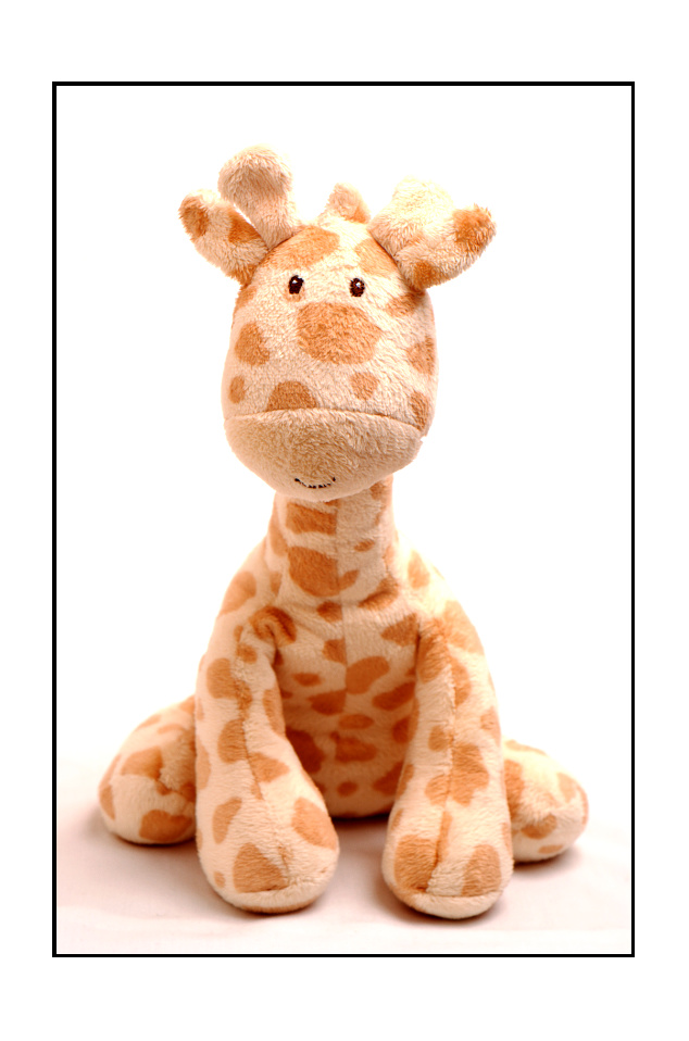 [062+raffe.jpg]